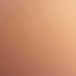 そうだ 京都、行こう。酬恩庵 一休寺・秋の紅葉特別拝観ライトアップ・新幹線格安旅行・アーバンホテル京都一人参加可能・東京発